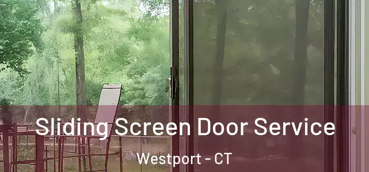 Sliding Screen Door Service Westport - CT